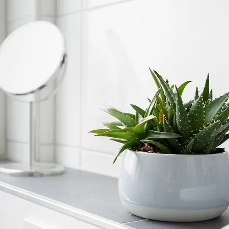 Cruwzo I Ruettenscheid- Gruen & Zentral Appartement Essen