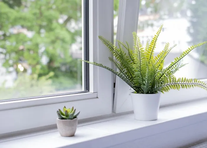 Cruwzo I Ruettenscheid- Gruen & Zentral Διαμέρισμα Έσσεν