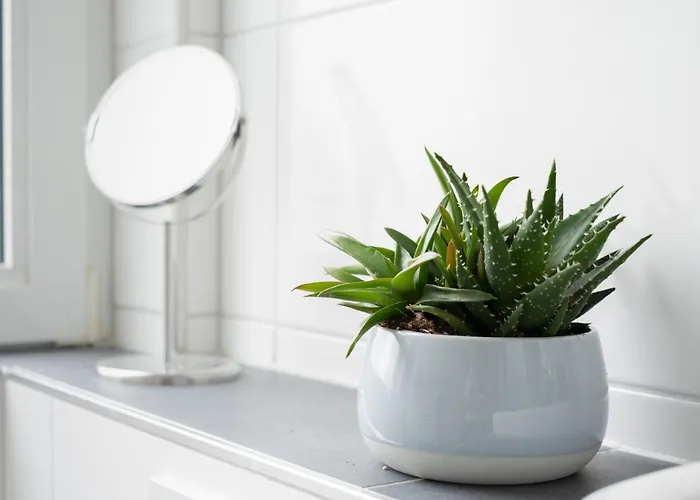 Cruwzo I Ruettenscheid- Gruen & Zentral Appartamento Essen